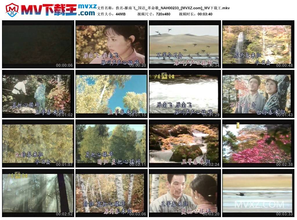 佚名-雁南飞_国语_革命歌_NAH00233